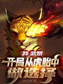 我,武黎,开局从虎胎中做选择!